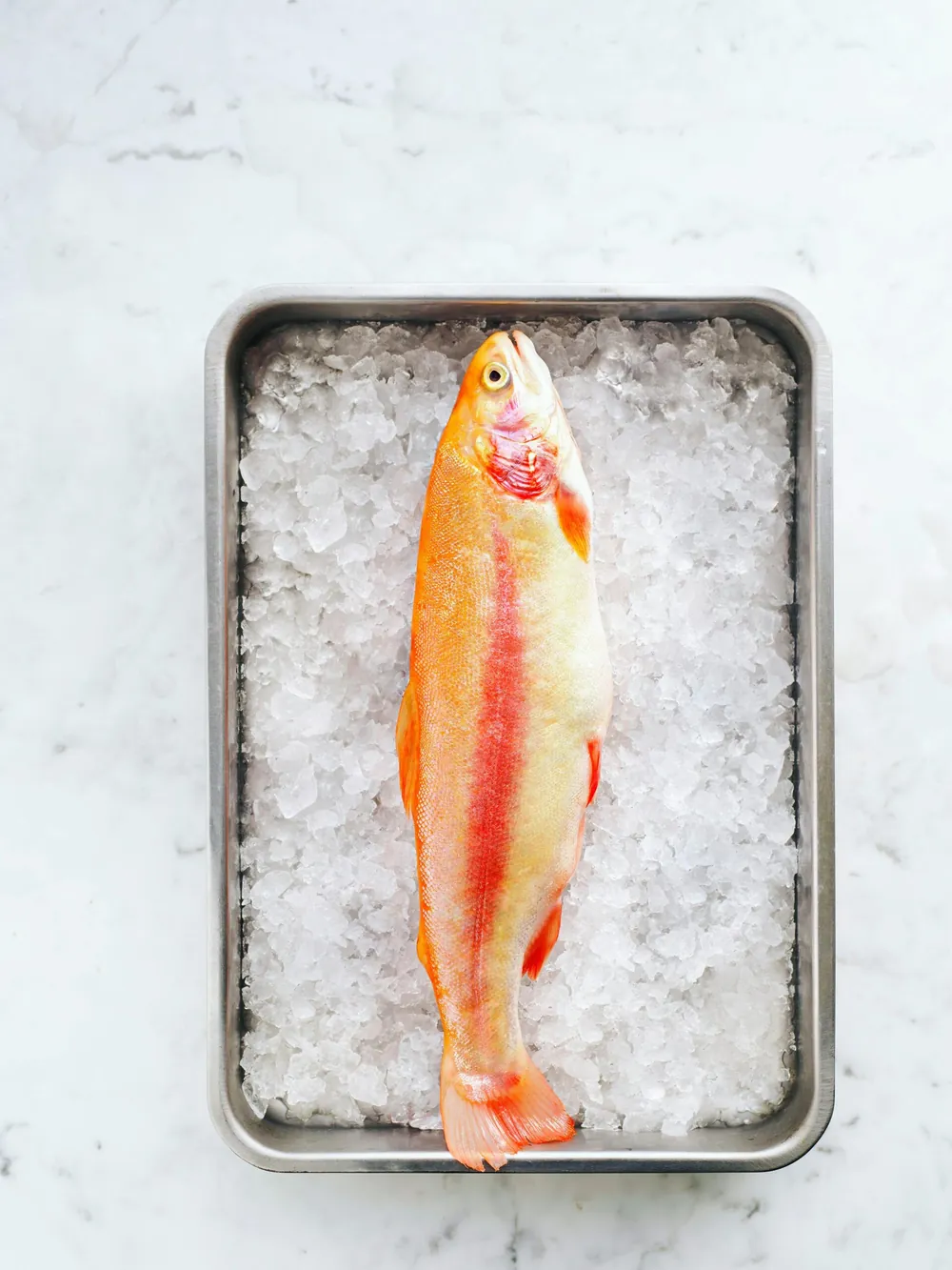 Pescado fresco sobre hielo en las instalaciones de Congelados El Melli en Carmona, Sevilla