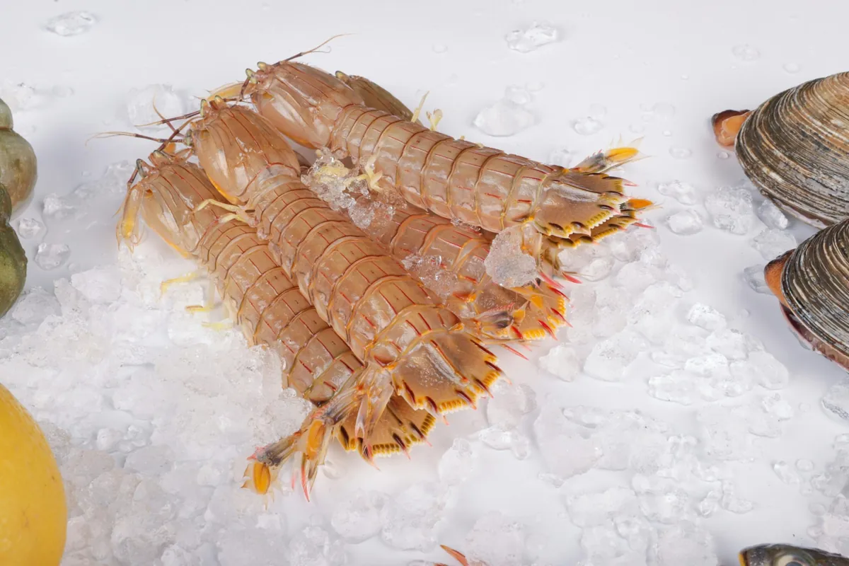 Langostinos, gambas y marisco congelado de Congelados El Melli