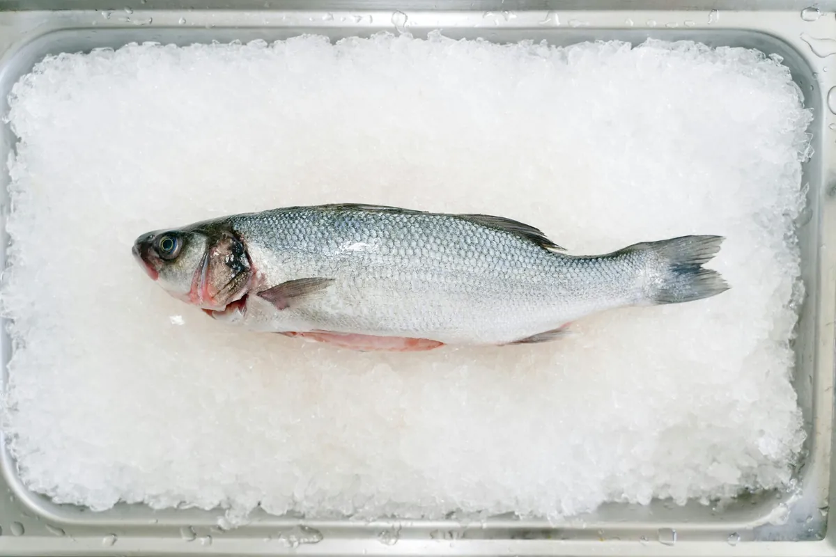 Salmón, atún y pescado azul congelado de Congelados El Melli