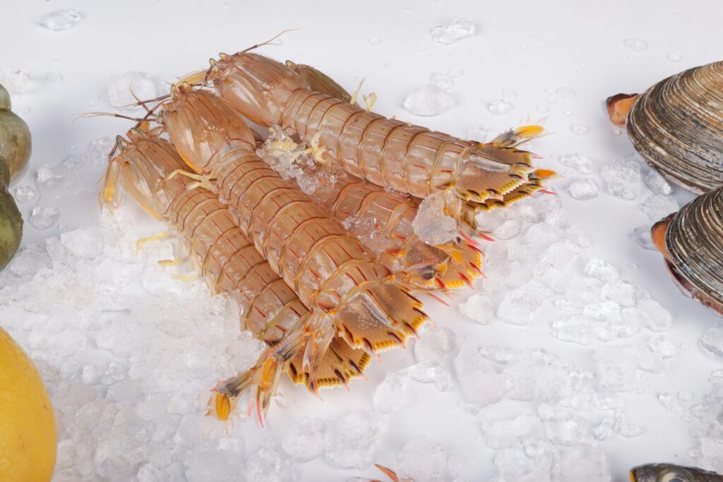 Marisco Congelado El Melli